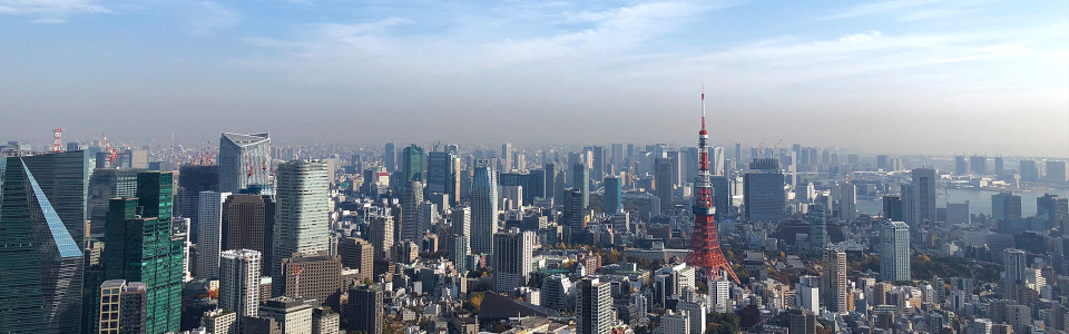 【八王子市】相続税対策で不動産を活用するメリット・デメリットと活用事例